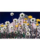 Blumen vor Gebirge