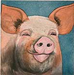 Kopf eines Schweins
