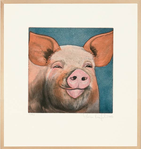 Kopf eines Schweins