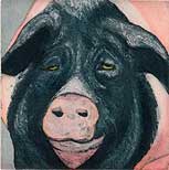 Kopf eines Schweins